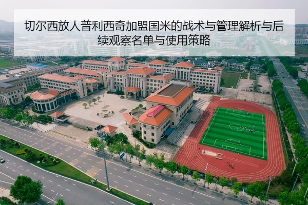 切尔西放人普利西奇加盟国米的战术与管理解析与后续观察名单与使用策略